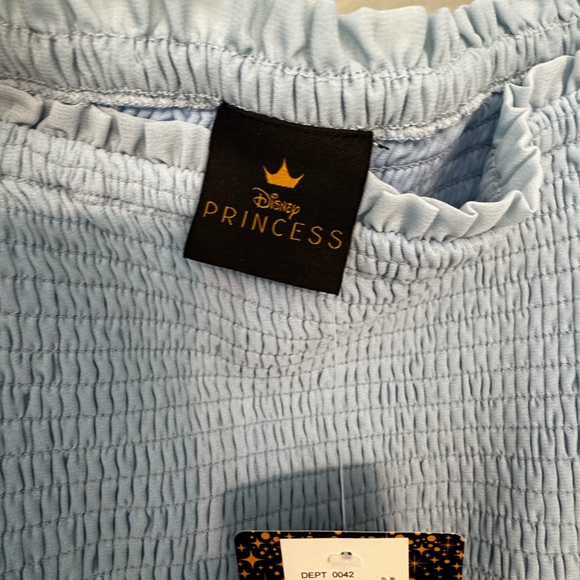 BNWT-Disney Mulan (& Little Brother) Light Blue Embroidered Mini Dress - Picture 7 of 12